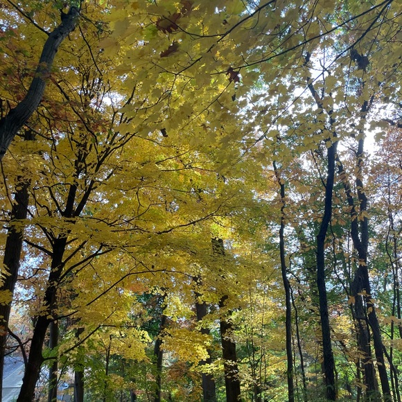 Meet your Posher, Hallie - Picture 1 of 1